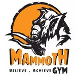 Mammoth Gym